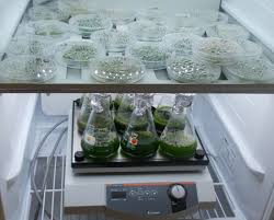 AlgaeTron AG 130-ECO thumbnail 4