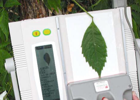 AM350 Portable Leaf Area Meter