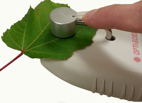 CCM-200 plus Chlorophyll Content Meter — image 2