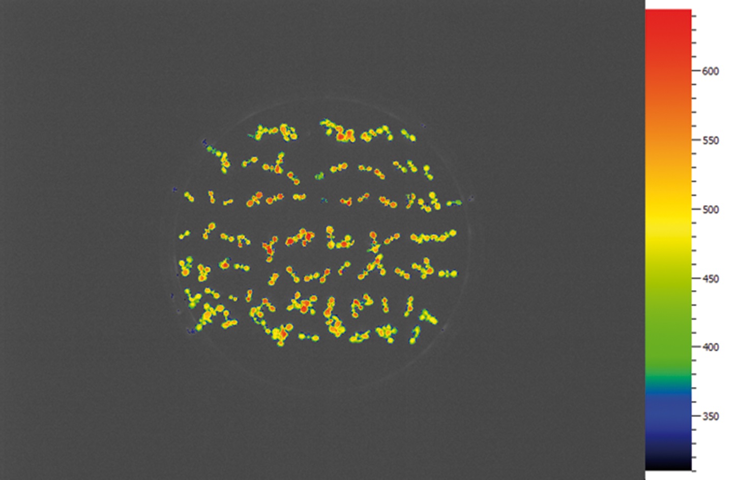 Closed GFPCam FC 800-C/1010GFP — image 4