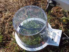 CPY-5 Canopy Assimilation Chamber — image 3