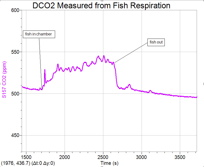 Dissolved CO2 Systems — image 5