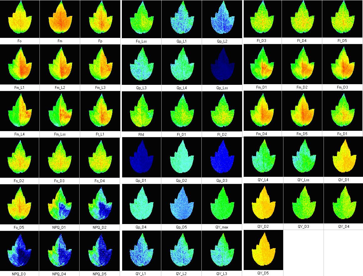 Handy GFPCam FC 1000-H/GFP — image 6
