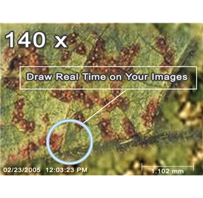 IPM Scope thumbnail 5