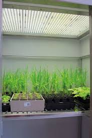 LED Fyto-Panels — image 3