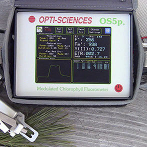 OS5p Chlorophyll Fluorometer