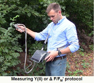 OS5p Chlorophyll Fluorometer — image 2