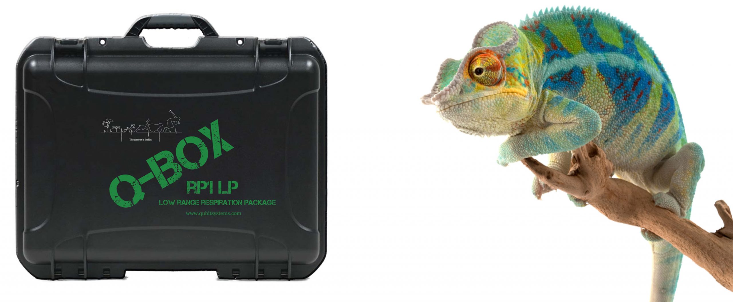 Q-Box RP1LP Low Range Respiration — image 2