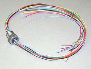 Stainless Steel 1/4 NPT fitting features: Feeds through 10 (26 AWG) wires. Epoxy sealed to handle up to 300 psi. thumbnail 1